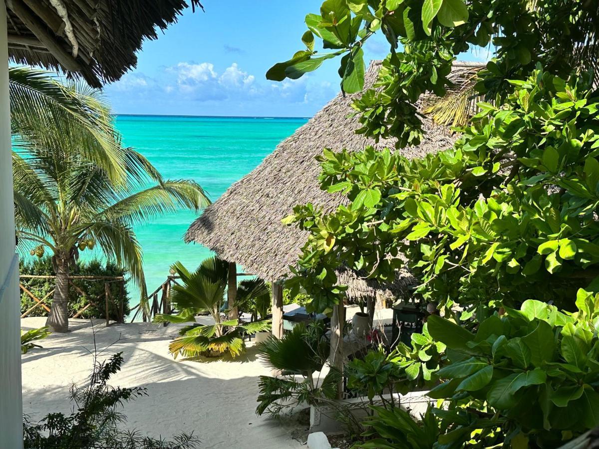 Natural Garden Boutique Jambiani (Zanzibar)